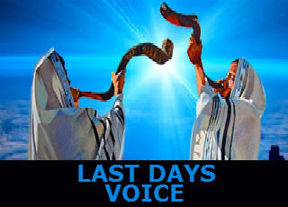 Last Days Voice